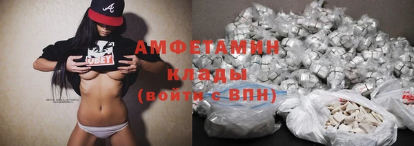 твердый Лагань