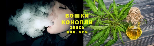 твердый Лагань