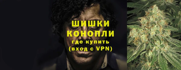 не бодяженный Ладушкин
