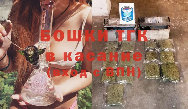 твердый Лагань