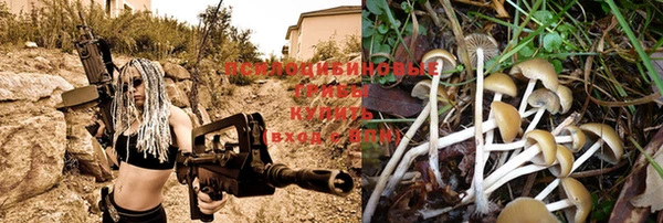 МДПВ Новый Уренгой