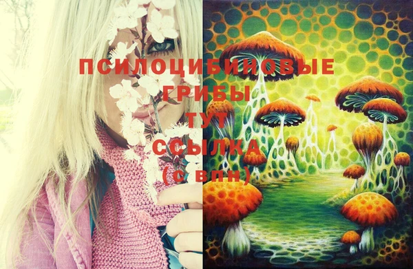 дживик Долгопрудный