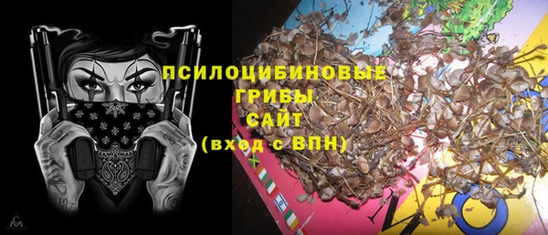твердый Лагань