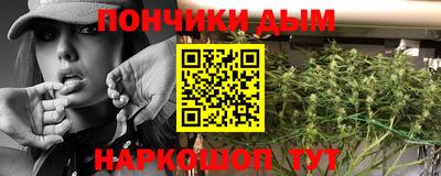 гашик Заводоуковск