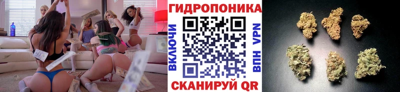 MEGA вход  Кропоткин  МАРИХУАНА индика  купить  